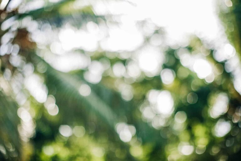 Artistic photo showcasing a vibrant and abstract green bokeh pattern outdoors.